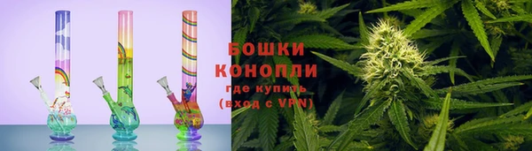шишки Армянск
