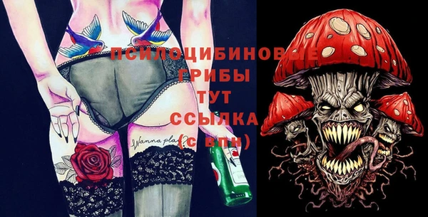 мяу мяу мука Баксан