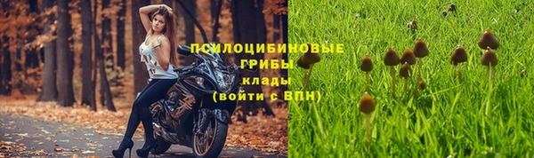 мяу мяу мука Баксан