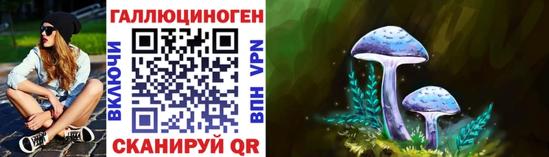 что такое наркотик Гуково Галлюциногенные грибы Psilocybine cubensis